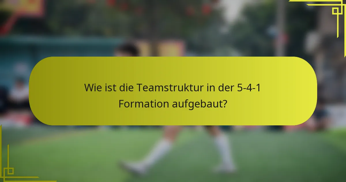 Wie ist die Teamstruktur in der 5-4-1 Formation aufgebaut?
